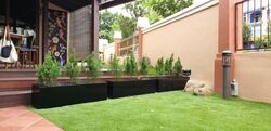 Flora Road (D17), Terrace #446560811
